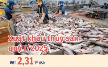 Xuất khẩu thủy sản tăng hơn 19% trong quý I/2025
