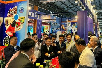 Đà Nẵng: Tăng cường xúc tiến thương mại xuất khẩu chuyên sâu