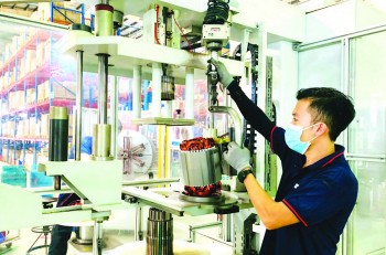 Chuyên gia kinh tế lạc quan về dòng vốn FDI vào Việt Nam