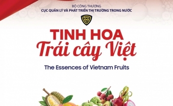 'Tinh hoa trái cây Việt' sắp được trưng bày tại Hà Nội