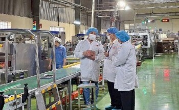 Thái Nguyên kiểm tra loạt doanh nghiệp sau bê bối sữa giả