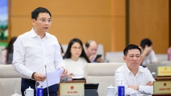 Phát hiện vi phạm về kinh tế 157.585 tỷ đồng, 245 ha đất