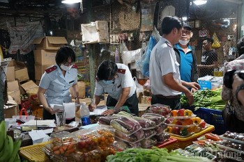 TP. Hồ Chí Minh hậu kiểm hơn 2.100 hồ sơ tự công bố