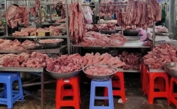TP. Hồ Chí Minh: Đề xuất thí điểm sàn giao dịch thịt heo trong 2 năm
