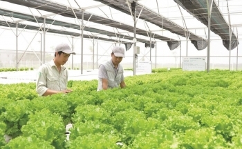 Nông thôn mới và cơ hội từ kinh tế tuần hoàn​