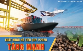 Infographic |Xuất khẩu hồ tiêu cả nước quý 1/2025 tăng trưởng mạnh