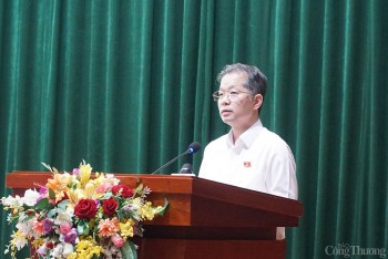 Bí thư Đà Nẵng: Nghiên cứu xây 5 đảo nổi tại Vịnh Đà Nẵng