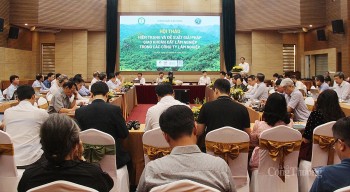 Sớm hoàn thiện thể chế, chính sách giao khoán đất lâm nghiệp