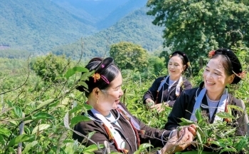 Sáp nhập Vĩnh Phúc, Phú Thọ, Hòa Bình: Bài cuối- Gắn kết bản sắc, khơi dậy lòng dân