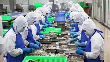 Tin thuế quan 26/4: Thị trường chứng khoán Mỹ hồi phục mạnh