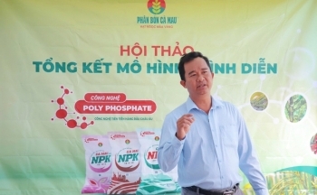 Mô hình trồng mít Thái hiệu quả nhờ NPK Cà Mau