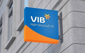 VIB: Lợi nhuận quý 1/2025 đạt hơn 2.400 tỷ đồng, CASA tăng 17%, thực hiện chia cổ tức 21%