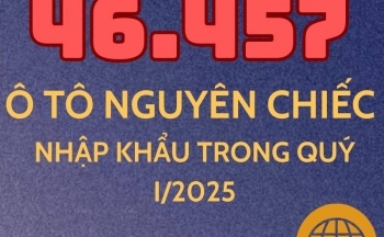 46.457 ô tô nguyên chiếc các loại được nhập khẩu trong quý I