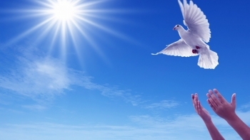 Những người Công Thương viết tiếp câu chuyện hòa bình