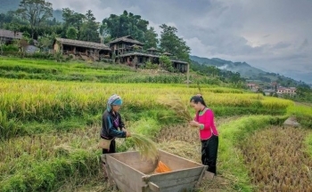 Chuyển đổi số du lịch nông thôn mới: Tiềm năng còn bỏ ngỏ