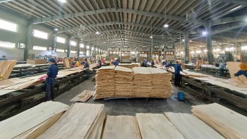 Sản xuất công nghiệp Đắk Nông giữ đà tăng trưởng