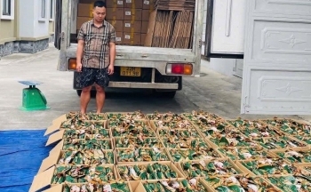 Công an tỉnh Tuyên Quang thu giữ 5,3 tấn chân gà rút xương