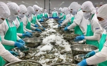 Ngành thủy sản linh hoạt thị trường xuất khẩu