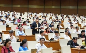 Đại biểu Quốc hội lắng nghe, góp ý sửa đổi Luật Việc làm