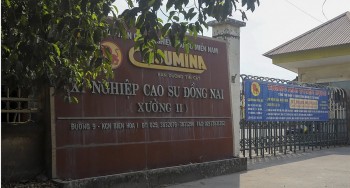 Đồng Nai: Chi nhánh Cao su Miền Nam bị xử phạt 720 triệu đồng