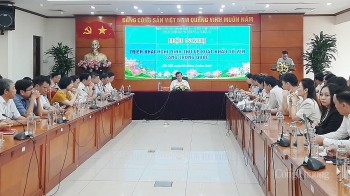 Lý do tổ yến 'made in Việt Nam' vào Trung Quốc còn khiêm tốn