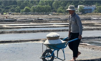 Mai một nghề muối Sa Huỳnh giữa vùng di sản văn hóa