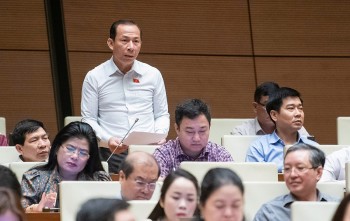 Đại biểu Võ Mạnh Sơn: Sửa Luật Hóa chất tạo công cụ mạnh mẽ hỗ trợ doanh nghiệp phát triển