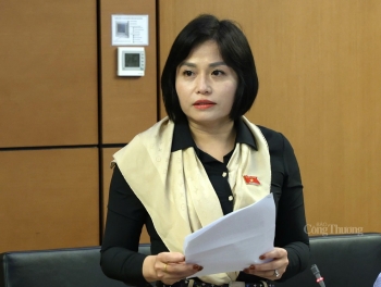 Đại biểu Thái Quỳnh Mai Dung: Chỉ thanh tra khi có bằng chứng vi phạm rõ ràng