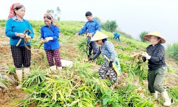 Vùng cao Xín Mần dệt giấc mơ nông nghiệp xanh