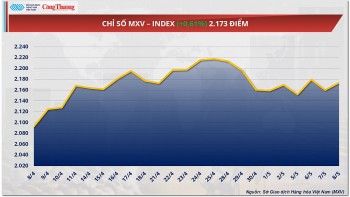 Giá đậu tương phục hồi chấm dứt chuỗi liên tiếp giảm
