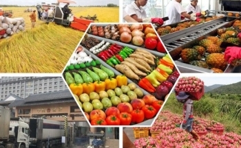 Thủ tướng chỉ đạo xử lý nghiêm gian lận xuất xứ, ép giá nông sản
