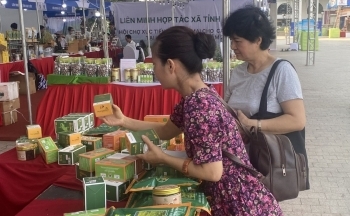 Lan tỏa ‘tiếng thơm’ cho sản phẩm miền núi