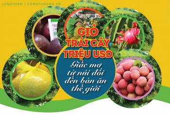 Longform | Giỏ trái cây triệu USD: Giấc mơ từ núi đồi đến bàn ăn thế giới