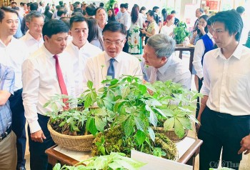 Phát triển công nghiệp dược liệu không phải việc của một địa phương