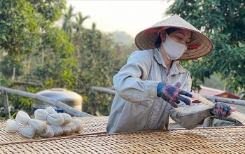 Miến đao Giới Phiên: Từ cây dong đỏ đến thương hiệu thoát nghèo vùng cao