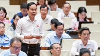 Đại biểu Quốc hội đề nghị không tính thuế thu nhập doanh nghiệp theo doanh thu