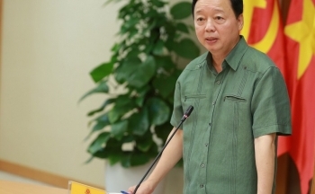 Mở rộng không gian phát triển dược liệu từ rừng