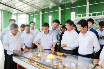 Đề xuất bổ sung kinh phí cho Khu công nghệ số Hậu Giang