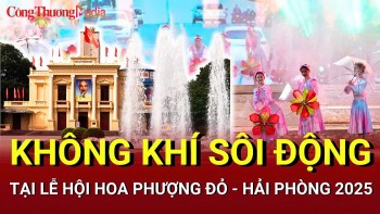 Toàn cảnh Lễ hội Hoa Phượng Đỏ: Rực rỡ 'bữa tiệc' ánh sáng
