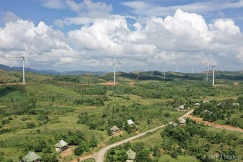 Làm gì để doanh nghiệp miền Trung tiếp cận tín dụng xanh?