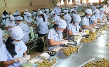 OCOP nâng tầm thương hiệu, xây dựng nông thôn mới bền vững