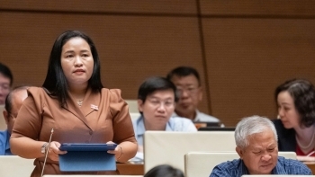 Đại biểu Quốc hội đề xuất bổ sung cơ chế đặc biệt xây dựng nhà máy điện hạt nhân