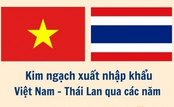 Kim ngạch xuất nhập khẩu Việt Nam - Thái Lan qua các năm