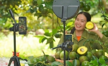 Thương mại điện tử tiếp sức sản phẩm chủ lực nông thôn mới
