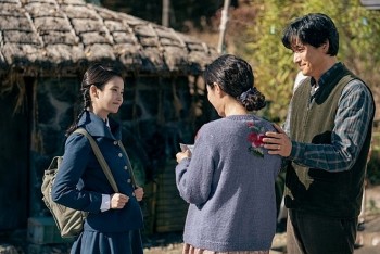 Mùa quýt Jeju và giấc mơ chữa lành thương mại còn khắc khoải