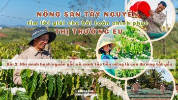 Bài 2: Khi minh bạch nguồn gốc và canh tác bền vững là con đường tất yếu