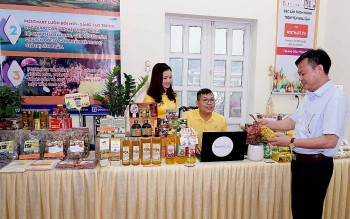 Bước tiến mạnh trong chuyển đổi số ngành Công Thương Yên Bái