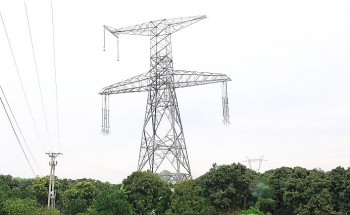 Ưu tiên nguồn lực đưa Đường dây 500/220kV Nho Quan - Phủ Lý - Thường Tín về đích