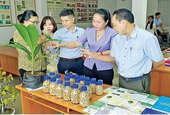 Lĩnh vực công nghiệp nhẹ: Những thành quả nổi bật trong nghiên cứu