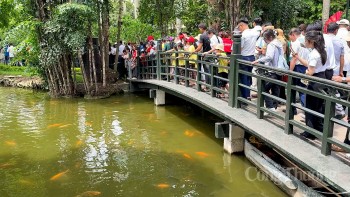 Dòng người nối đuôi nhau thăm nhà sàn, Ao cá Bác Hồ